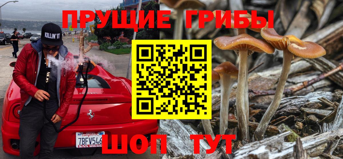Грязи  Галлюциногенные грибы Psilocybine cubensis  Вход с VPN  Псилоцибиновые грибы Psilocybine cubensis 