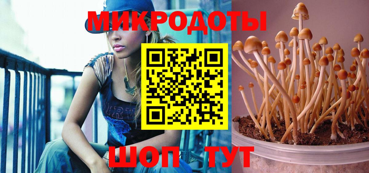 Галлюциногенные грибы GOLDEN TEACHER Грязи